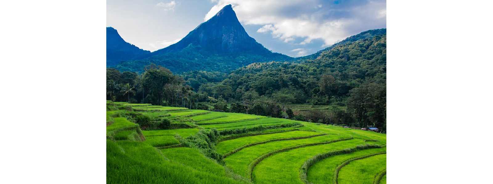 නැවත දැනුම්දෙන තුරු මීමුරේ එන්න එපා..